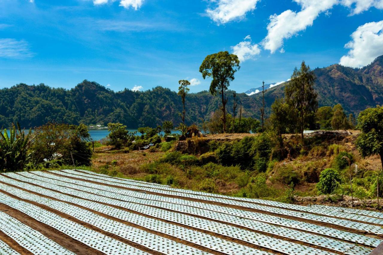 Villa Jempana Kintamani Esterno foto