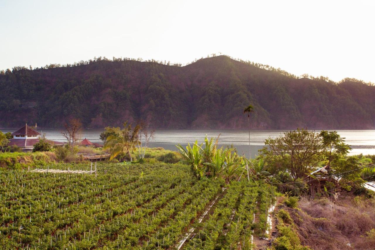 Villa Jempana Kintamani Esterno foto